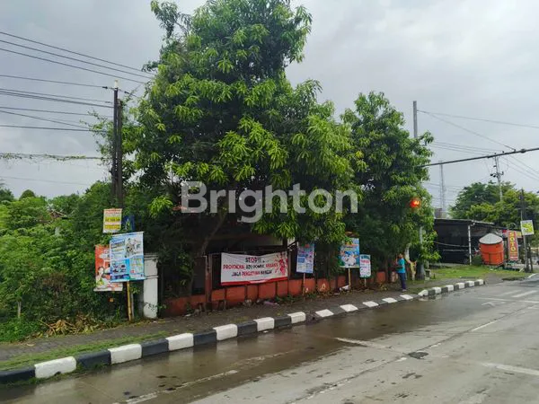 image RUMAH LUAS 1000M² DEKAT TOL SRAGEN (5)