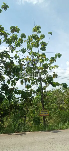 image TANAH PEKARANGAN DI TEPI JALAN MONDOKAN SRAGEN (5)