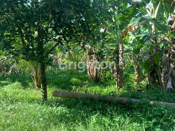 image TANAH LOKASI STRATEGIS PINGGIR JL. IR. SOEKARNO (2)