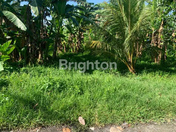 image TANAH LOKASI STRATEGIS PINGGIR JL. IR. SOEKARNO (4)