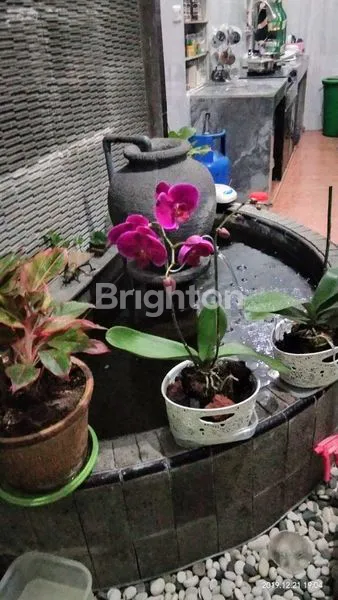 image JAMBANGAN RUMAH LAMA SIAP HUNI JARANG ADA BS NEGO LOKASI STRATEGIS (6)