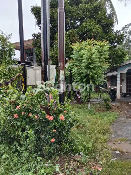 image TANAH DI JALAN TRANS KALIMANTAN (3)