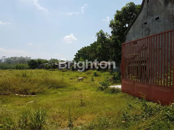 image TANAH SHM 9.797M² COCOK BISNIS (2)