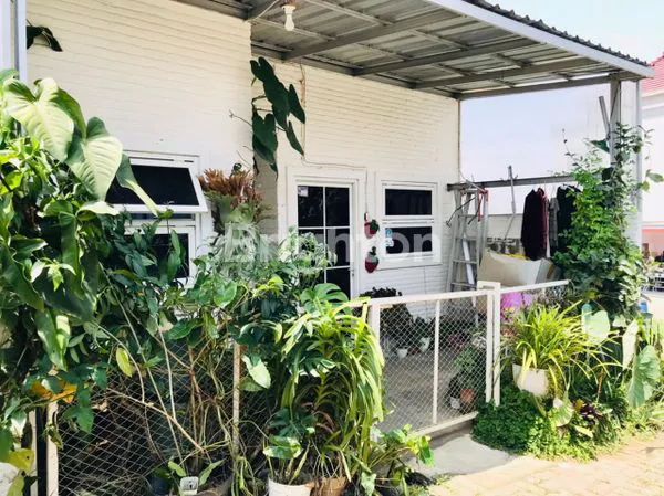 image RUMAH STRATEGIS GIRIPURNO BATU (1)