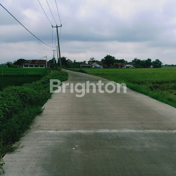 TANAH 1 HEKTAR SHM DI KARAWANG