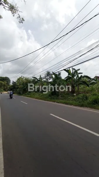 image TANAH LUAS 7 ARE COCOK UNTUK VILLA/GUEST HOUSE LOKASI STRATEGIS DI UNGASAN, BALI (2)