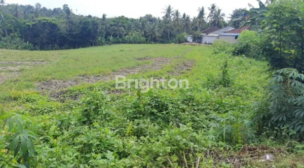 image TANAH 32 ARE UNTUK KEBUN, VILLA ATAU INVESTASI DI MEGATI, TABANAN (5)