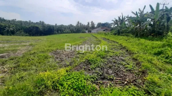 image TANAH 32 ARE UNTUK KEBUN, VILLA ATAU INVESTASI DI MEGATI, TABANAN (6)