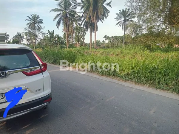 image JUAL MURAH, LAHAN KERING SELUAS SETENGAH HEKTAR DI PINGGIR JALAN BATANG KUIS (3)