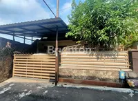 Generated Image October 29 2025 4 24PM