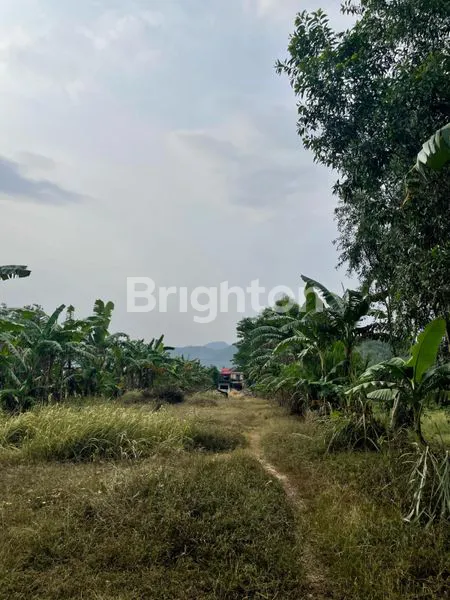 image TANAH DIJUAL LOKASI STRATEGIS (3)