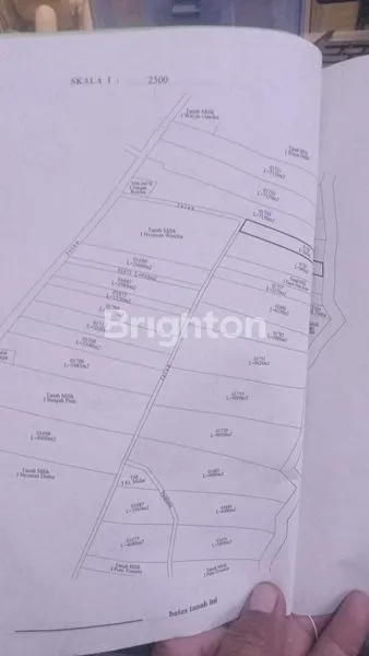 image DIJUAL TANAH KEBUN DI MELAYA – COCOK UNTUK INVESTASI JANGKA PANJANG (3)