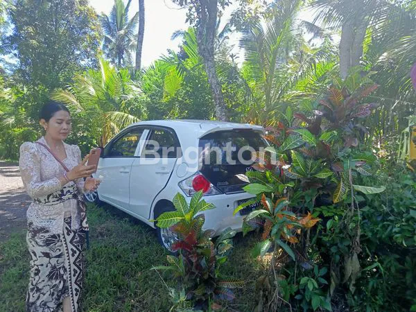 image DIJUAL TANAH KEBUN DI MELAYA – COCOK UNTUK INVESTASI JANGKA PANJANG (4)