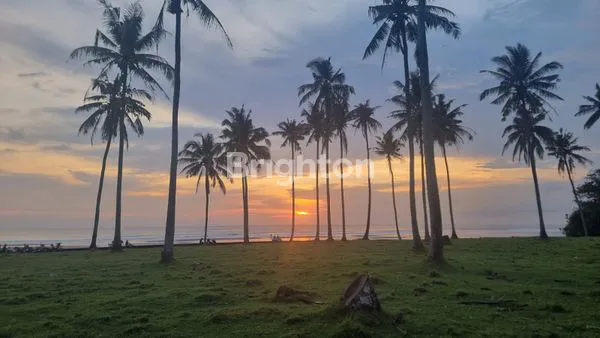 DIJUAL TANAH LOS PANTAI DI PANTAI SOKA 2,9 HA