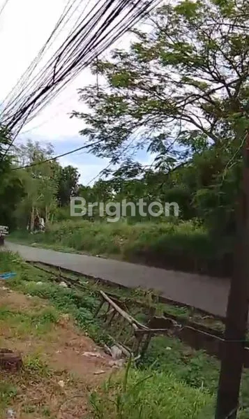 image TANAH KOMERSIAL 5031M² PINGGIR JALAN RAYA PARUNG GUNUNG SINDUR (3)