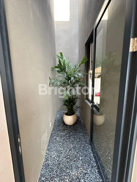 image VIREYA A LEGACY OF BEAUTY (8)