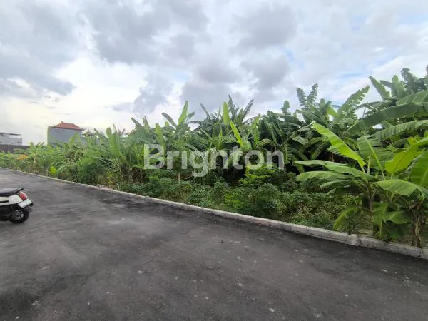 image RUMAH INDENT 3BR DEKAT RENON DENPASAR (8)