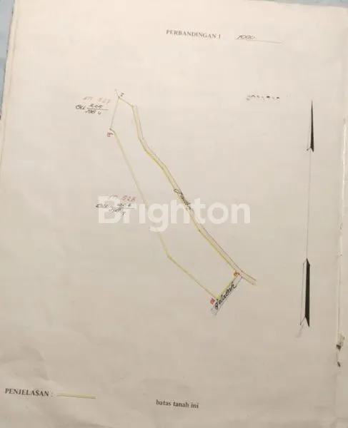 image TANAH MURAH DI CEMAGI CANGGU BALI (2)