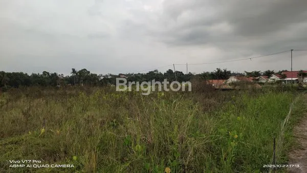 image TANAH MURAH DI CEMAGI CANGGU BALI (6)