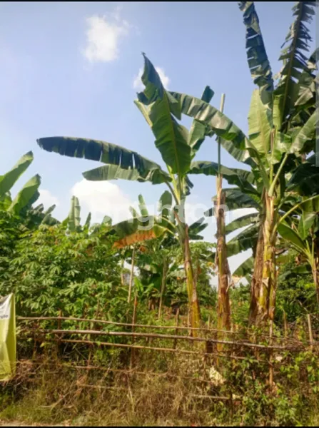 image JUAL TANAH LOKASI STRATEGIS (2)