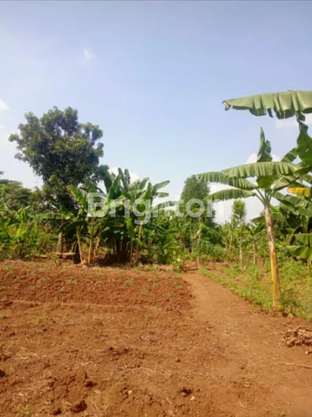 image JUAL TANAH LOKASI STRATEGIS (1)