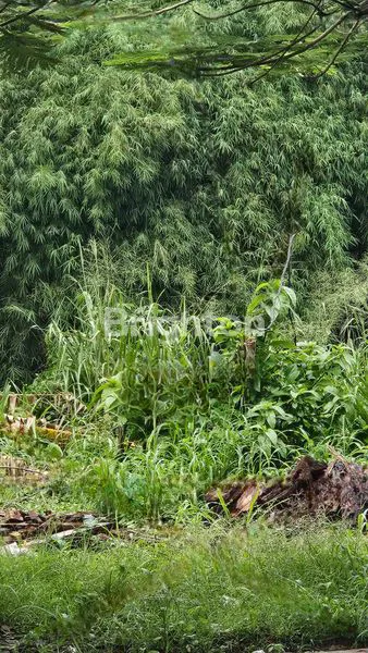 image TANAH LUAS 630M² DI BSD AKSES MUDAH (2)