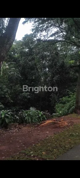 image DI JUAL/DI SEWAKAN TANAH SELUAS 8600M² DI AREA JALAN RAYA JKT BOGOR CIBINONG  (1)