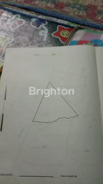 image JUAL TANAH INDUSTRI DUMPI AGUNG LAMONGAN (2)