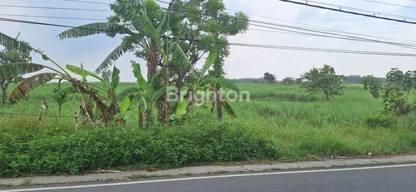image JUAL TANAH INDUSTRI PELANG KEMBANGBAHU LAMONGAN (2)