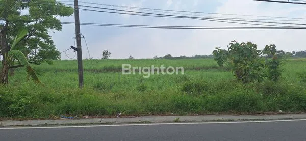 image JUAL TANAH INDUSTRI PELANG KEMBANGBAHU LAMONGAN (1)