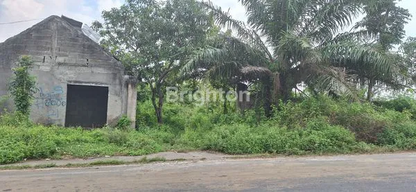 JUAL TANAH INDUSTRI PELANG LAMONGAN