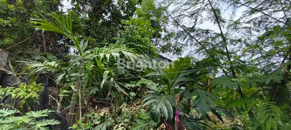 image TANAH STRATEGIS DEKAT PUSAT KOTA YOGYAKARTA (5)