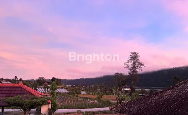 image DIJUAL TANAH DENGAN BANGUNAN GUESTHOUSE AKTIF  UNIK DI DANAU BUYAN- SUDAH ADA PELANGGAN (RETURNING GUEST)  BULELENG-BALI UTARA (8)