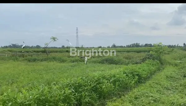 image KAVLING SIAP BANGUN DI BADUNG,BALI (2)