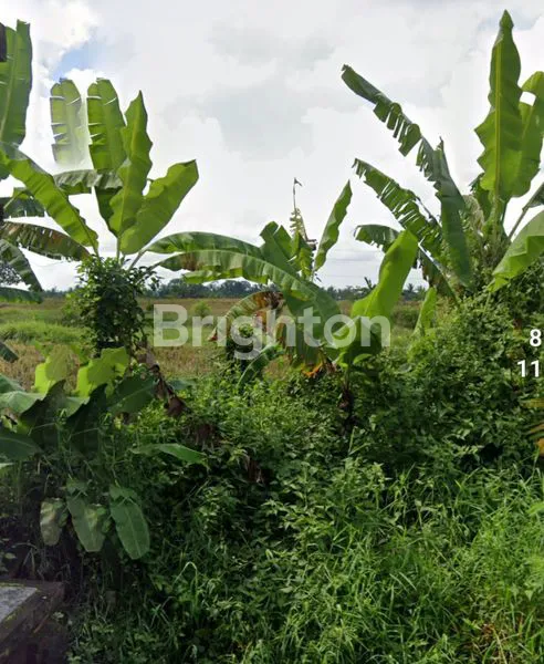 image KAVLING SIAP BANGUN DI BADUNG,BALI (3)