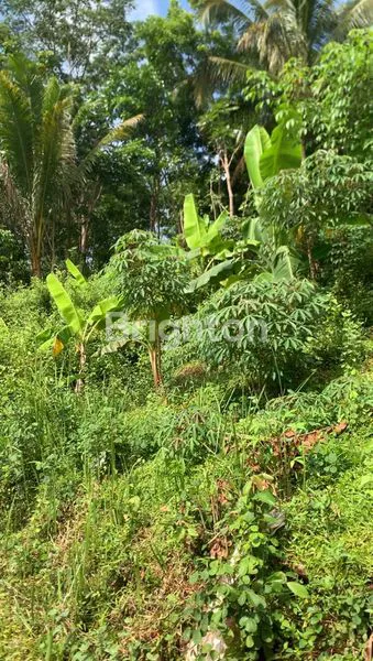 image DIJUAL TANAH VIEW KOTA JOGJA (3)