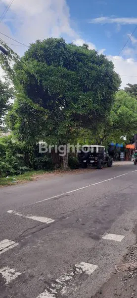 image DIJULA TANAH 12,20 ARE - DENPASAR SELATAN (4)