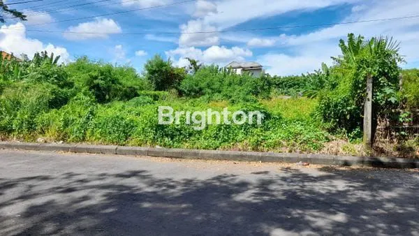 image TANAH PLOT KECIL BERLOKASI STRATEGIS DI RENON DENPASAR SELATAN (4)