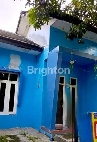 image CLUSTER ANGELONIA, SANGAT STRATEGIS, SHM, SIAP HUNI (2)