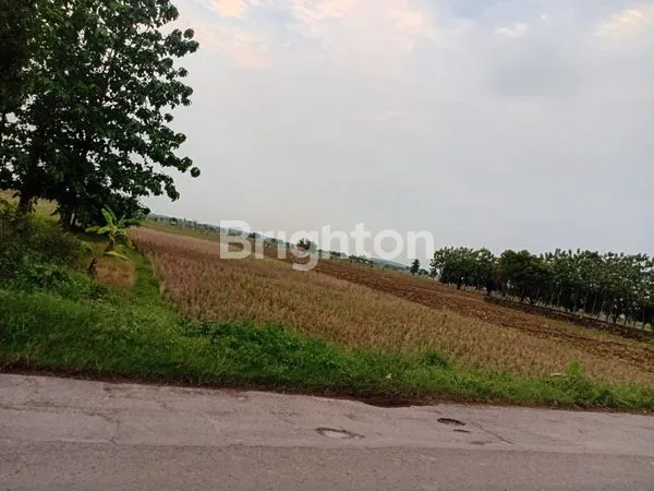 image TANAH MURAH DI GANTAR SANCA INDRAMAYU (2)