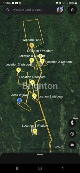 image WISDOM LAND, TANAH KAVLING DURIAN MUSANGKING (7)