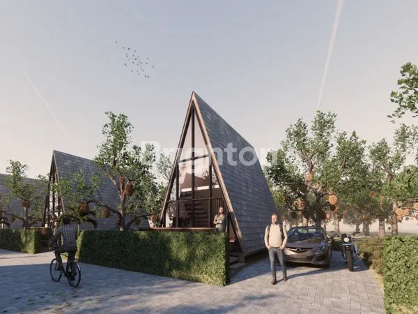 image WISDOM LAND, TANAH KAVLING DURIAN MUSANGKING (4)