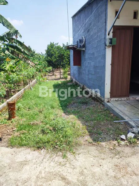 image TANAH DI JUAL (2)