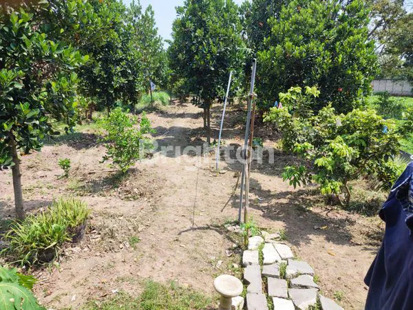 image TANAH DI JUAL (3)