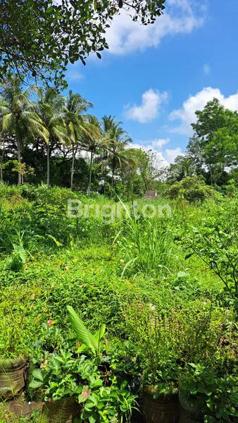 image TANAH LUAS 957M² DI CEMOROKANDANG MALANG (2)