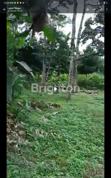 image LAHAN KEBUN ISTIMEWA ASRI  4,5 HA CIJERUK BOGOR  (3)