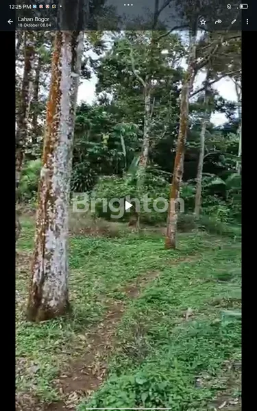 image LAHAN KEBUN ISTIMEWA ASRI  4,5 HA CIJERUK BOGOR  (4)