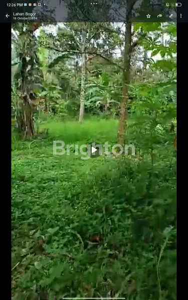 LAHAN KEBUN ISTIMEWA ASRI  4,5 HA CIJERUK BOGOR