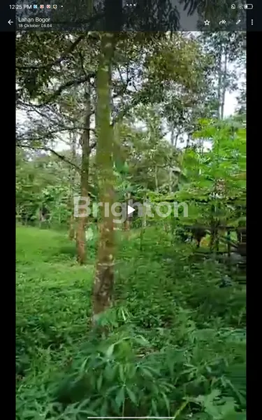 image LAHAN KEBUN ISTIMEWA ASRI  4,5 HA CIJERUK BOGOR  (2)