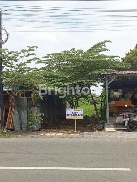 image TANAH JUAL MURAH LANGKA BU LUAS 2936M² M PINGGIR JL RAYA SARIROGO SIDOARJO (1)